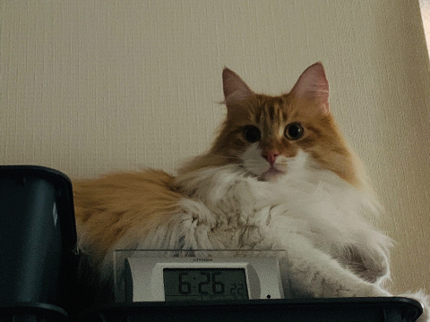 20190629082359de6.jpeg