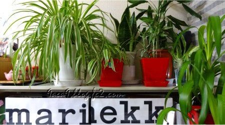 部屋　marimekko　手作り　植物