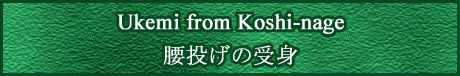 67-Ukemi-from-Koshi-nage.jpg
