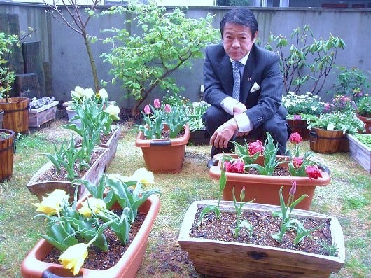 中川昭一、チューリップ。「花は、一生懸命咲くので好きだ」　<br>と言われていた。中川昭一さんが言われたように、日本に花を咲かせましょう。一生懸命咲く花を。
