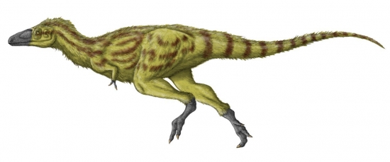 Tarbosaurus 14