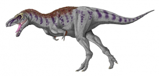 Tarbosaurus 13