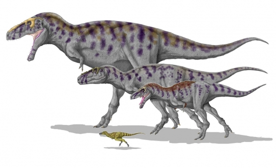 Tarbosaurus 15