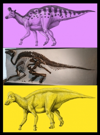 恐竜の脳力_6