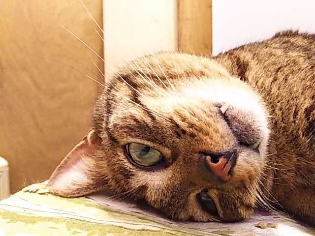 DSC_9122.jpg