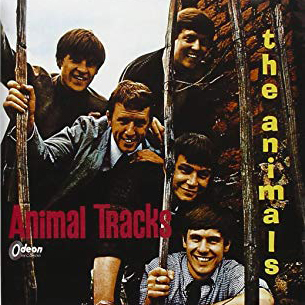 Animals Animal Tracks