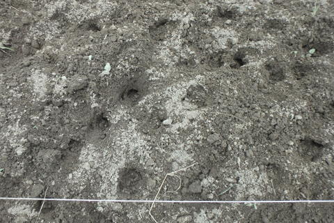 66-P8222343.jpg