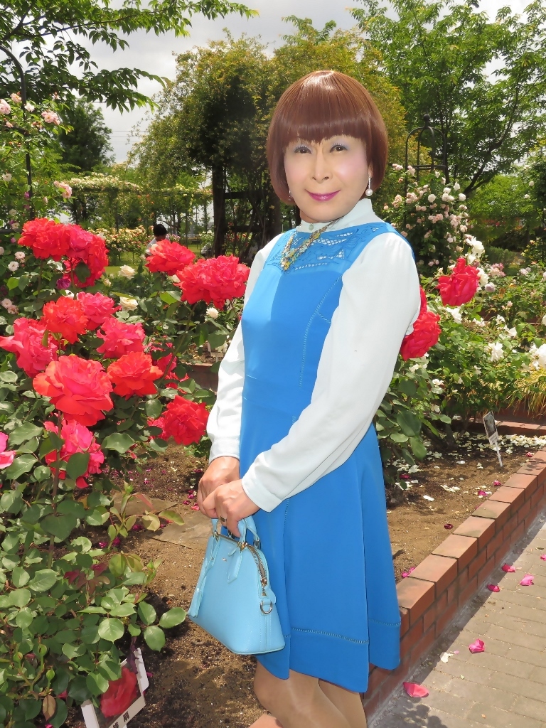 青色ワンピ薔薇園C(1)