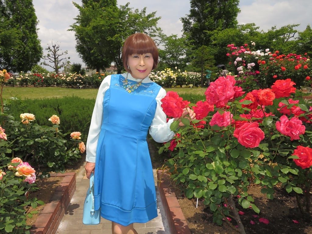 青色ワンピ薔薇園C(2)
