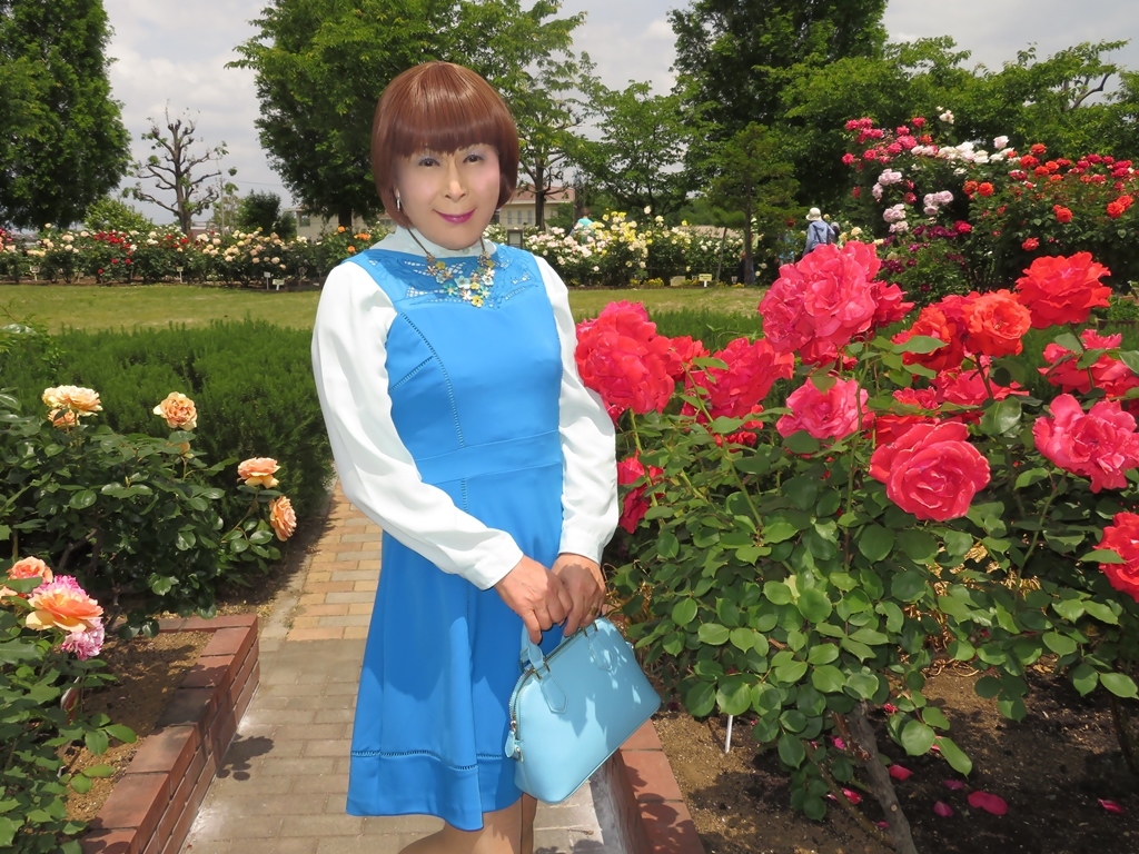 青色ワンピ薔薇園C(3)