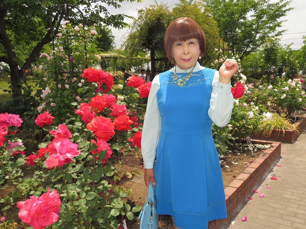 青色ワンピ薔薇園C(4)