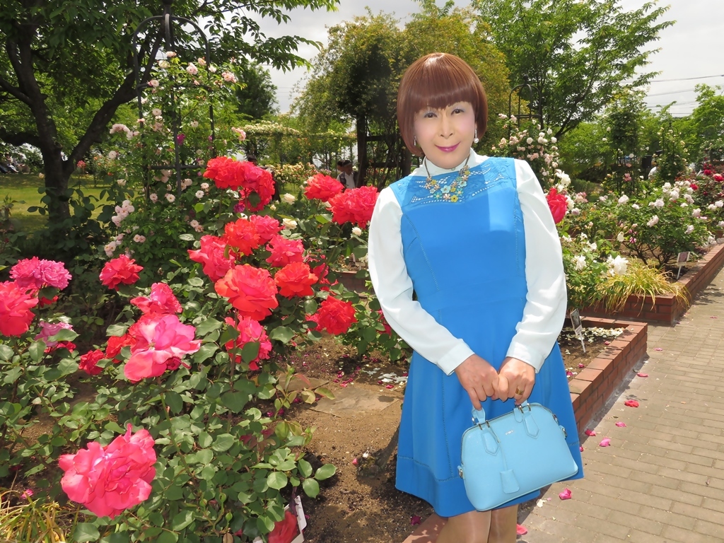 青色ワンピ薔薇園C(5)
