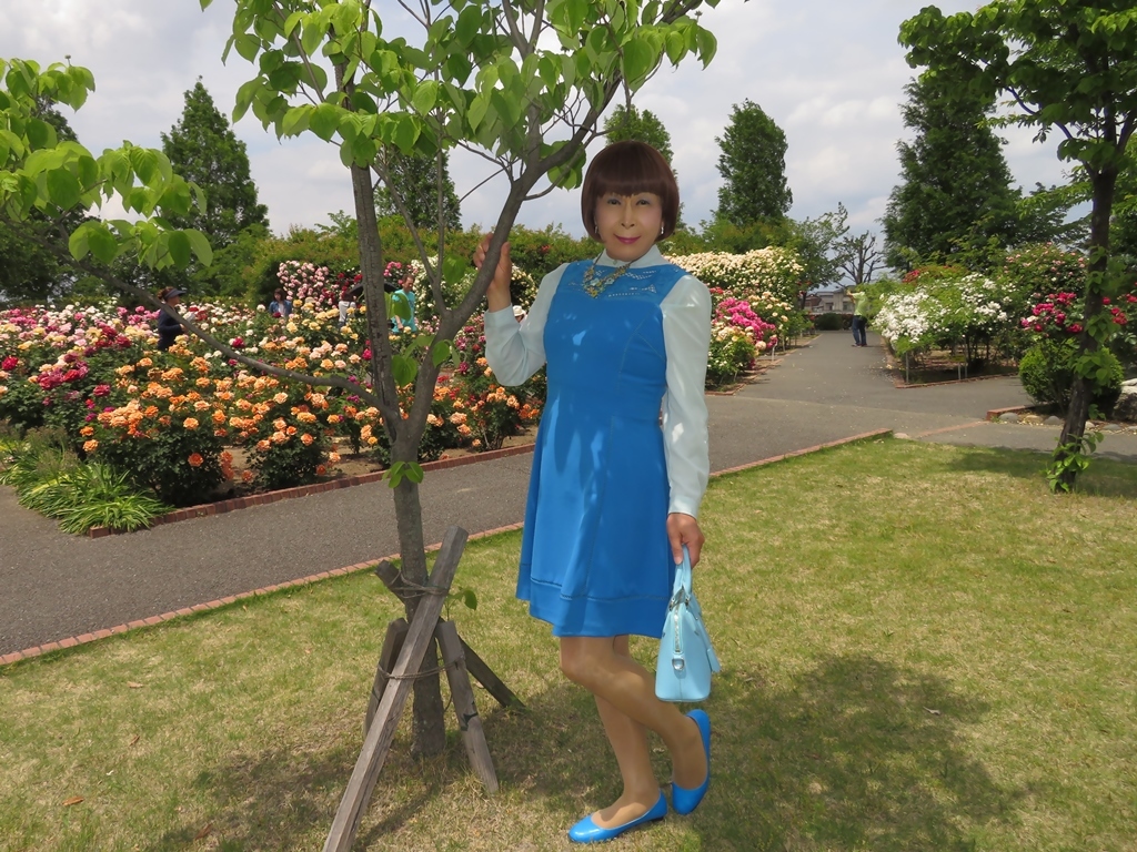 青色ワンピ薔薇園C(7)