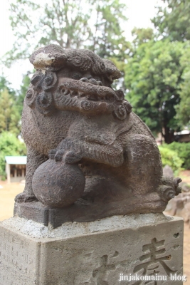 胡録神社(松戸市大橋)15