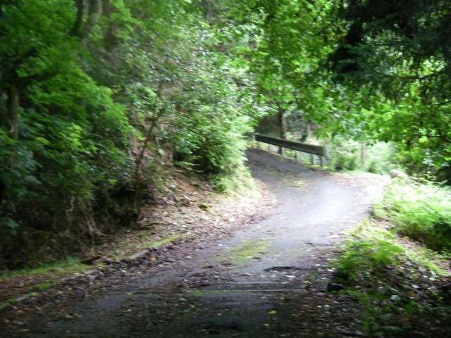 _ksmyyk00167.jpg