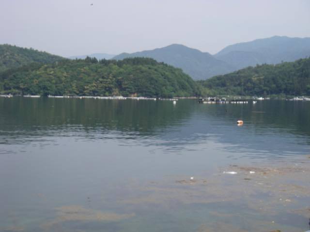 _m5hrg00085.jpg