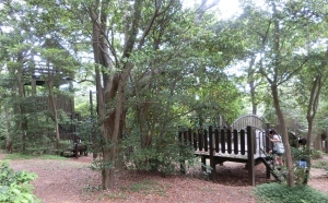 岩屋緑地9