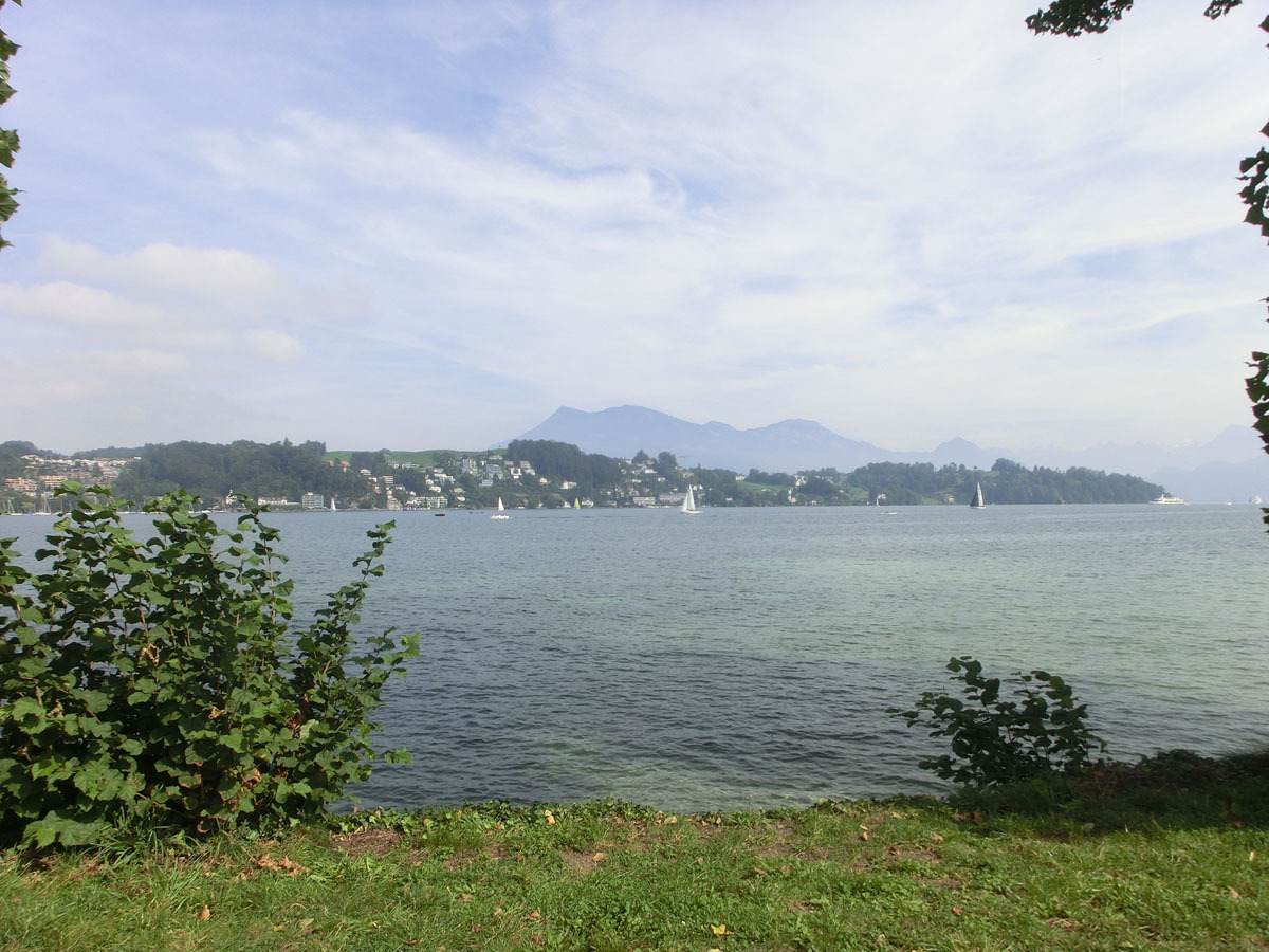 2019091503.jpg