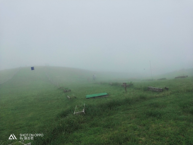 IMG20190714140906.jpg