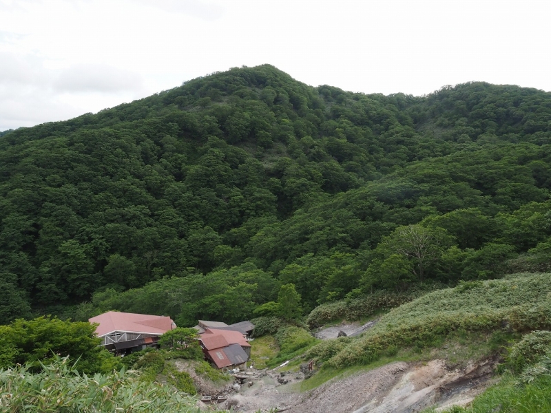 P7061591.jpg