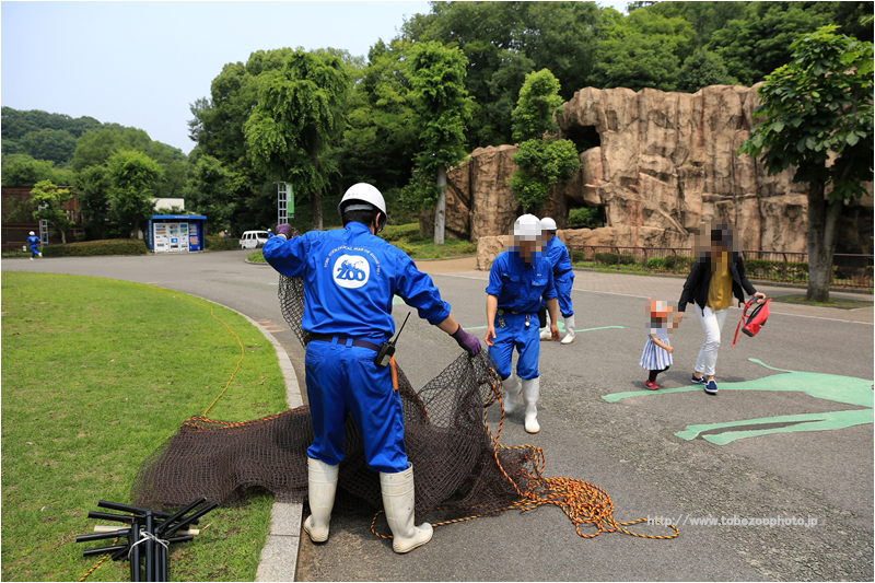 愛媛県立とべ動物園 ・ 動物脱出対策訓練の写真