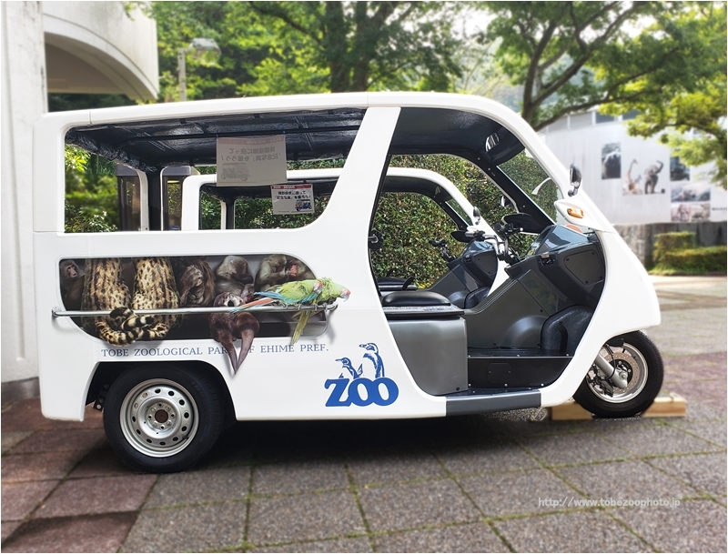 とべ動物園内を三輪電気自動車（EV）が走行